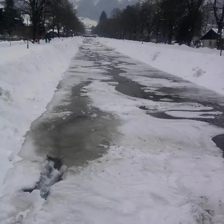 Familia Бартоломеберг